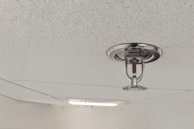 Fire Sprinkler System